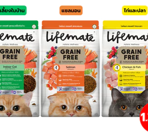 Lifemate Grain Free อาหารแมวโต